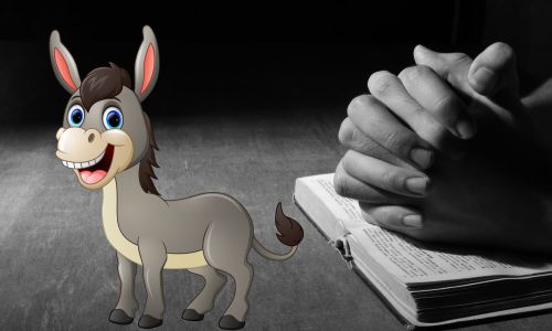 Prayer idea - NT: Easter 02 - Palm Sunday 2: Donkey prayers