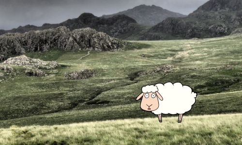 Game%20-%20NT%20Parable%20of%20the%20lost%20sheep%20-%20Search%20for%20the%20lost%20sheep-11a8b803 Ideas