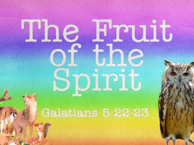 Parable%20-%20Wise%20owl%20and%20fruit%20of%20the%20spirit-131af84f Story - Parable of the wise owl and the Fruit of the Spirit