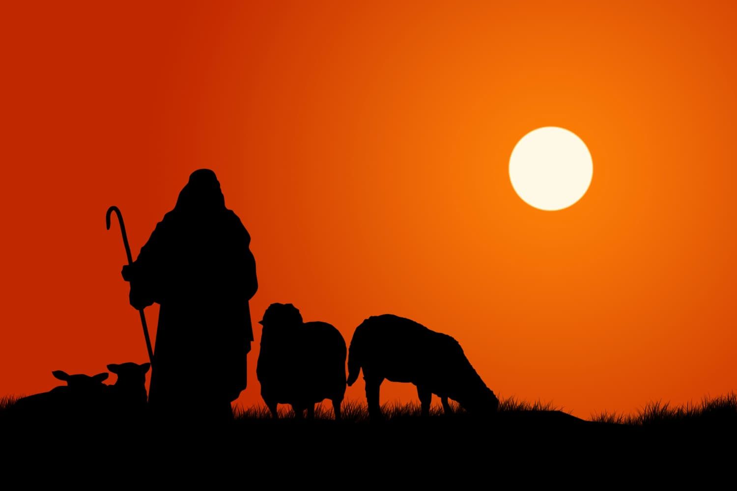 Lesson%20-%20NT%20Teaching%20of%20Jesus%20-%20The%20good%20Shepherd%2019%20activities-3337647b Safety / security