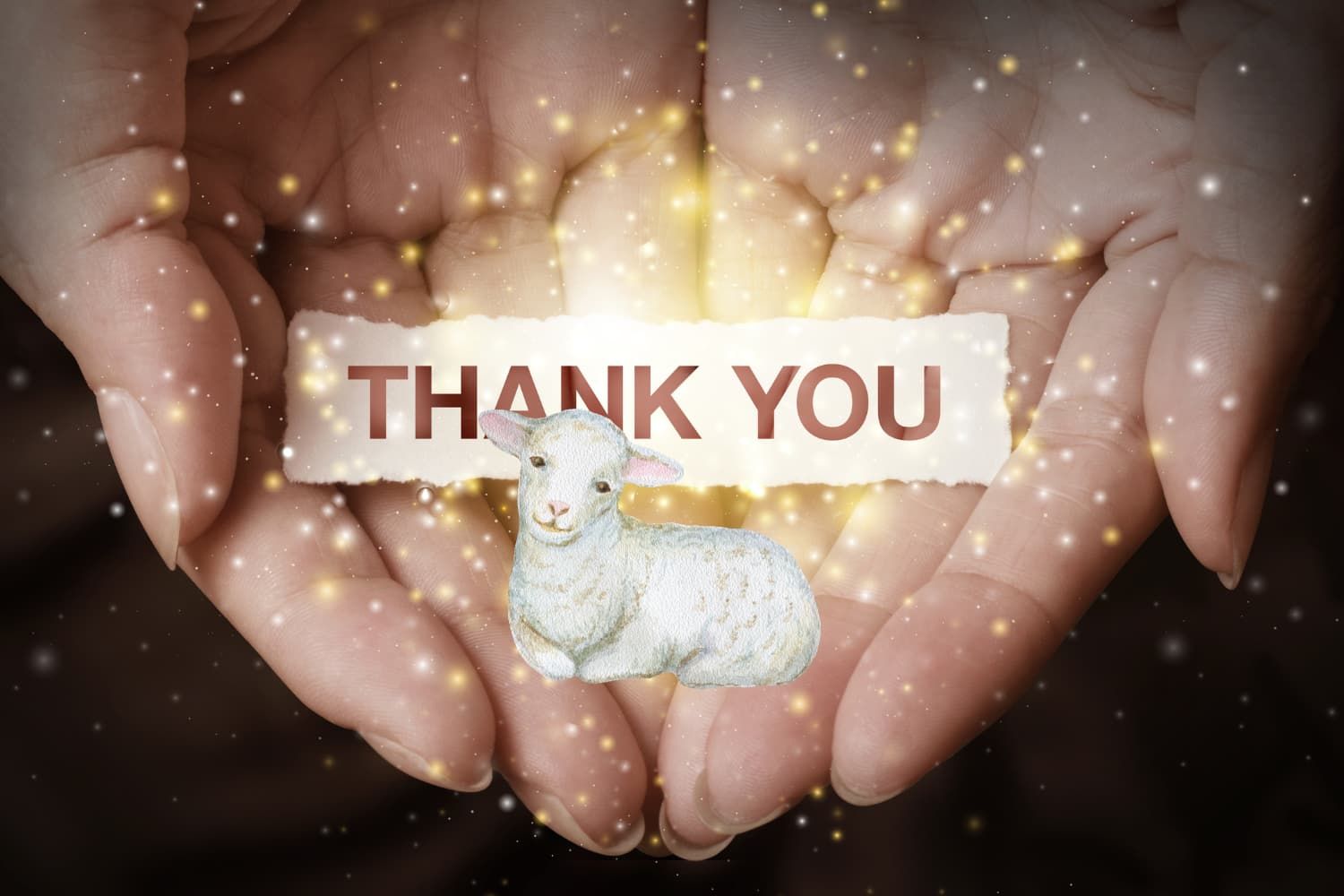 Thankful%20for%20the%20lamb-3f20e711 Obedience