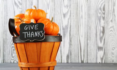 Game - Thanksgiving Day: Thanksgiving Bingo