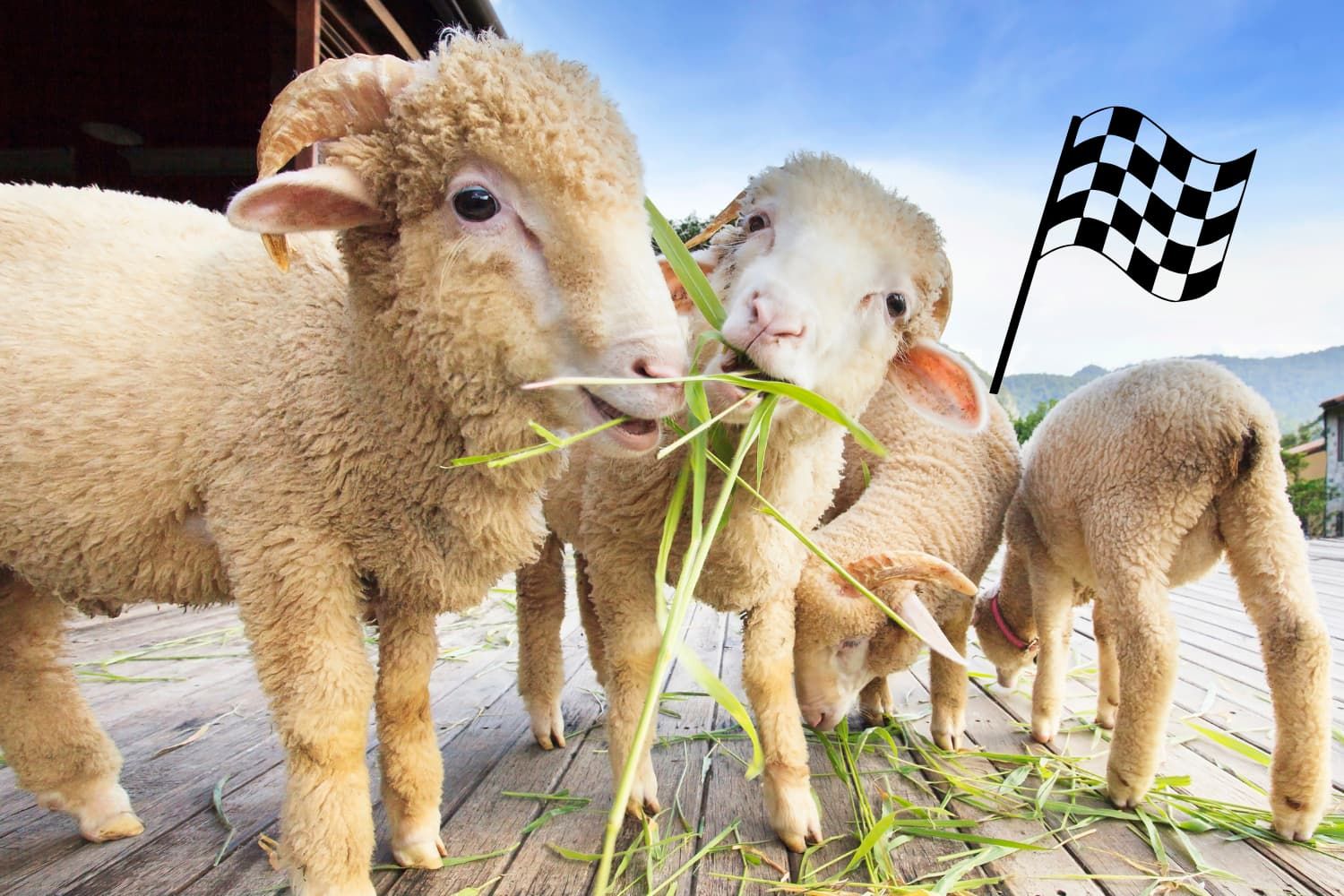 Game%20-%20OT%20Psalm%2023%20-%20The%20feed%20the%20sheep%20relay%20race-6bb58723 Presence of God