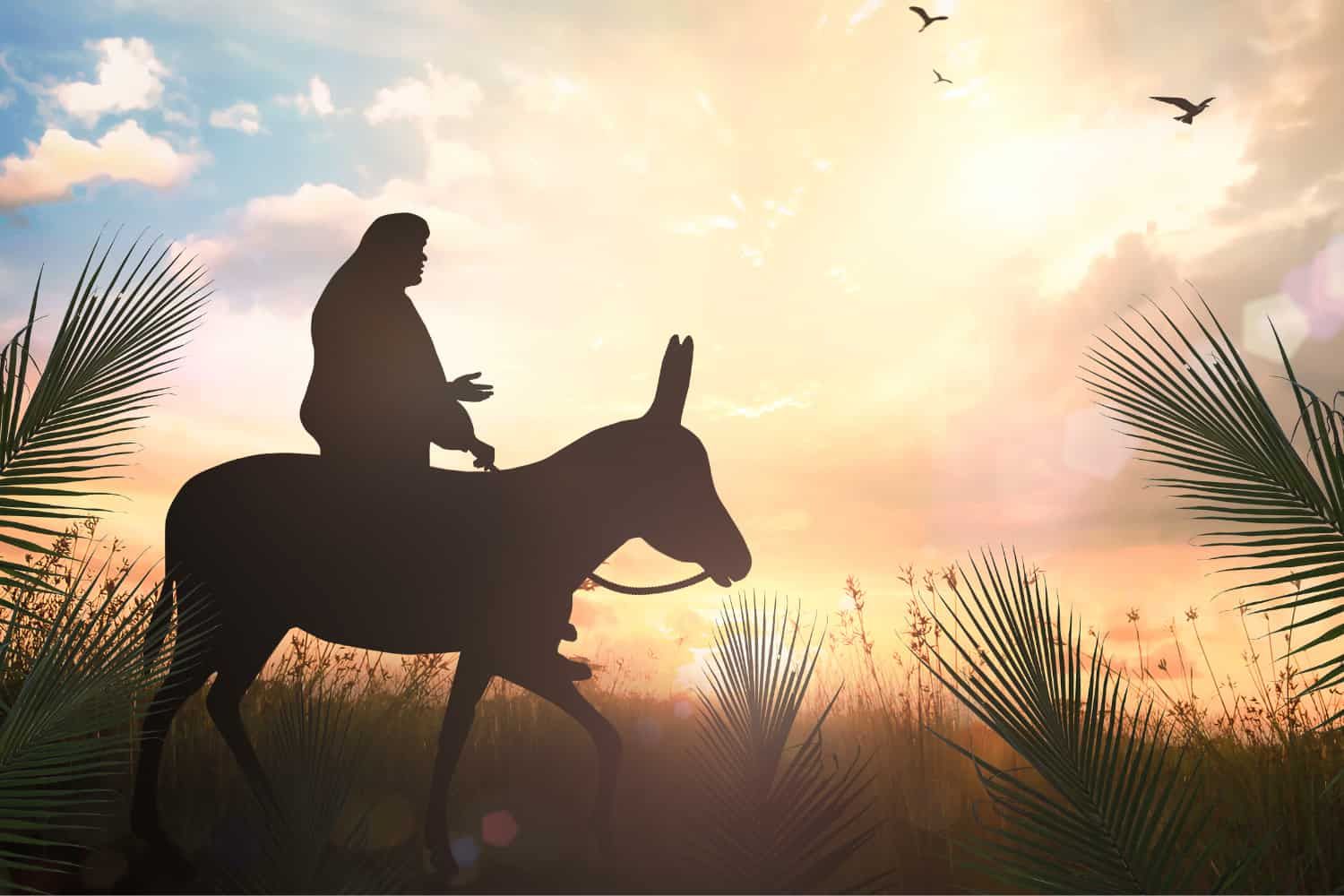 Lesson%20-%20NT%20Easter%2002%20-%20Palm%20Sunday%202%20Humble%20on%20a%20donkey-c3dfbb64 Lessons