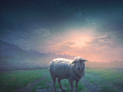 55-e3bcd19b Prayer idea - OT: Psalm 23 - Praying for the lost sheep 
